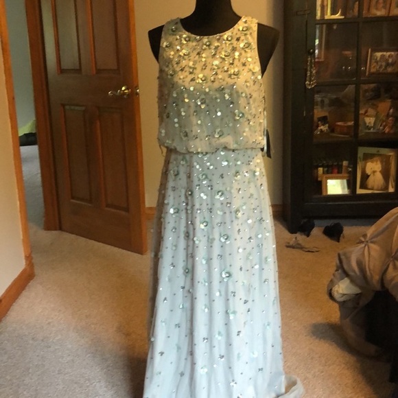 Adrianna Papell Dresses & Skirts - Adrianna Papell Frosted Sage Beaded Evening Gown
